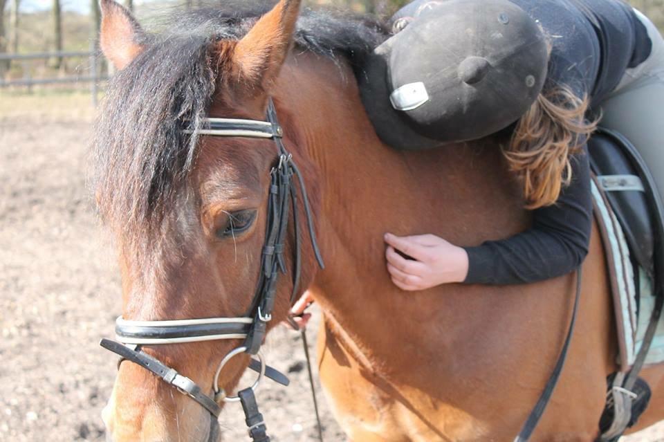 Anden særlig race Mystery billede 13