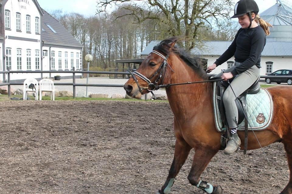 Anden særlig race Mystery billede 15