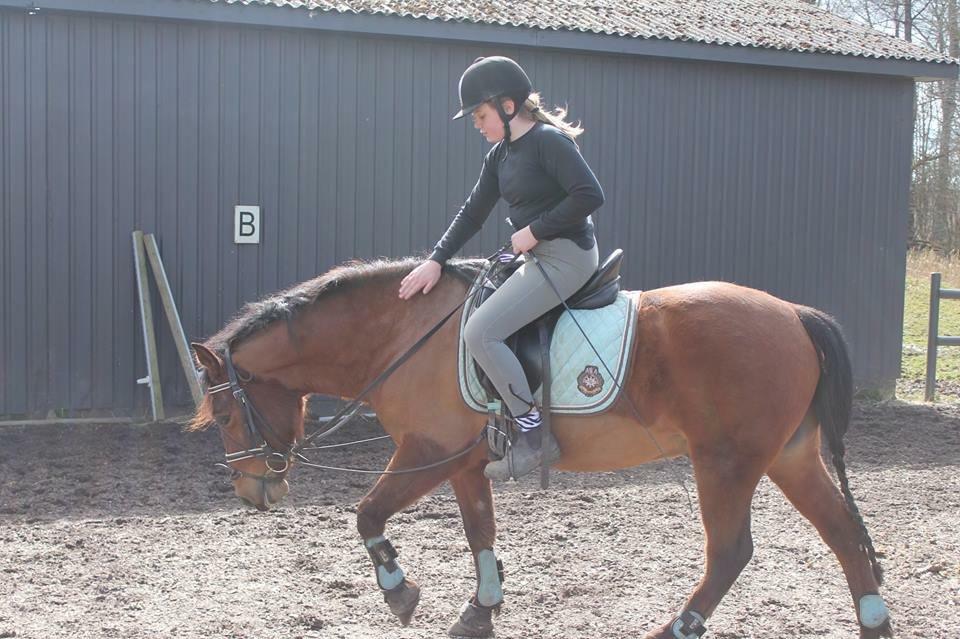 Anden særlig race Mystery billede 16