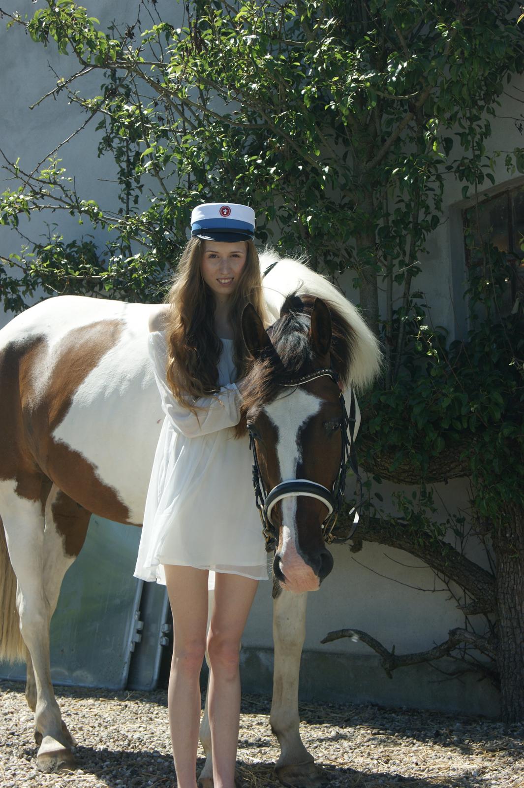 Pinto Hedens Nobile billede 5