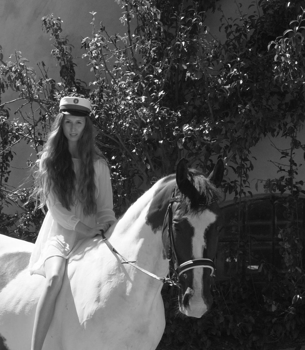 Pinto Hedens Nobile billede 6