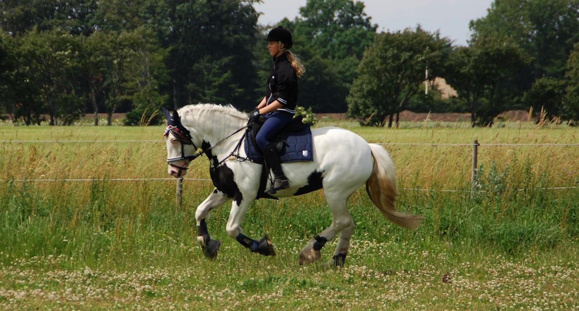 Tinker Hauge's Aileen [Ko] - 5 år. billede 21