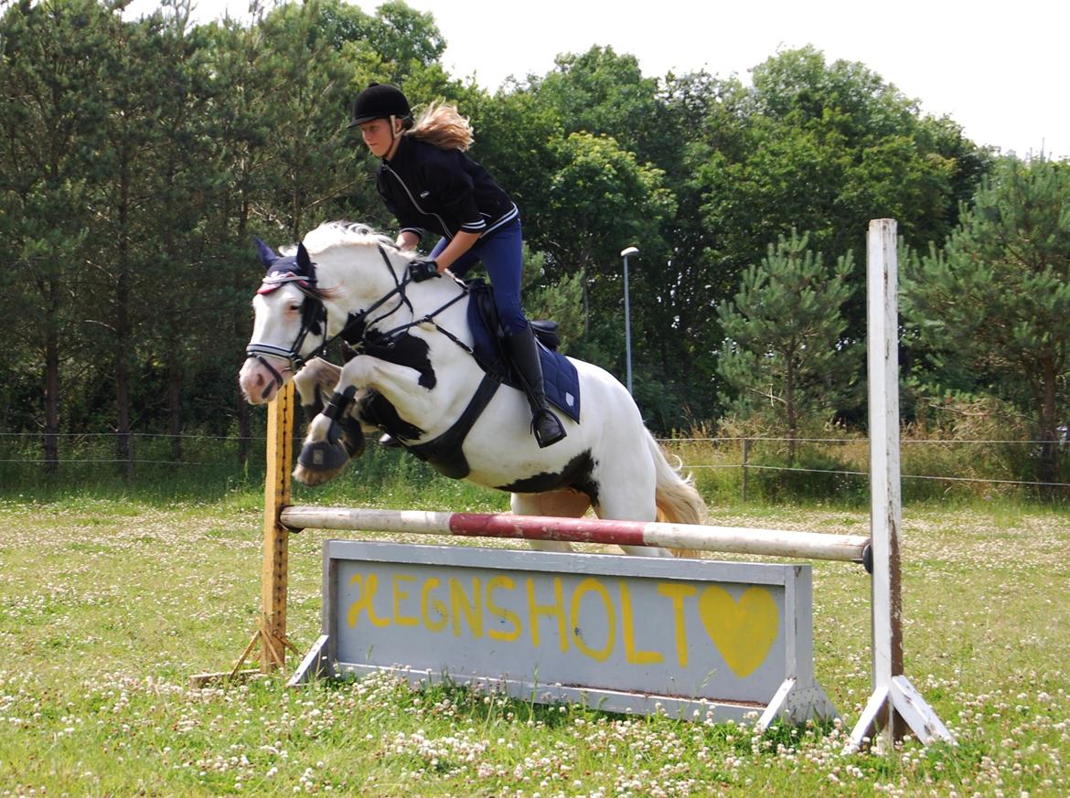 Tinker Hauge's Aileen [Ko] - 5 år billede 33