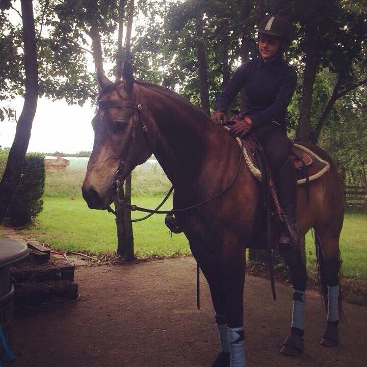 Quarter Dq Fire Deano Jack billede 17