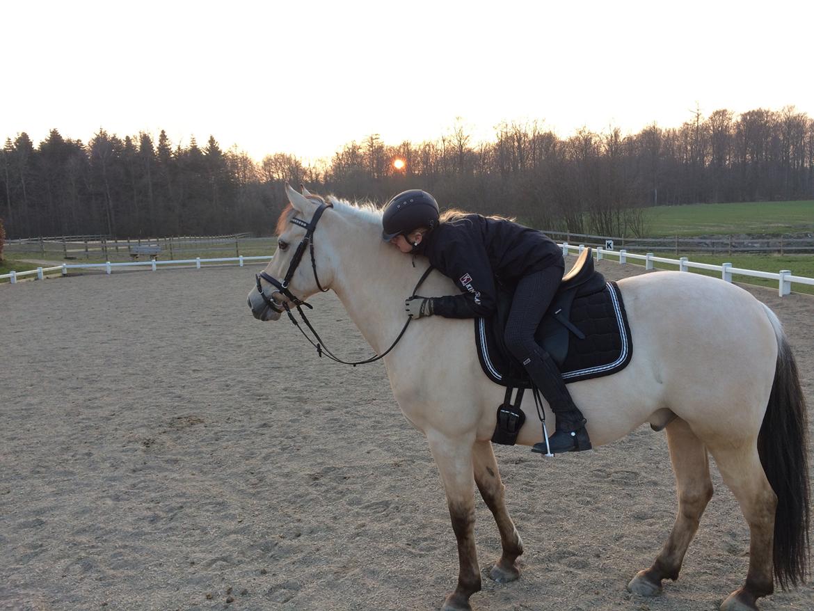 Anden særlig race Felix - Velkommen! :) billede 1