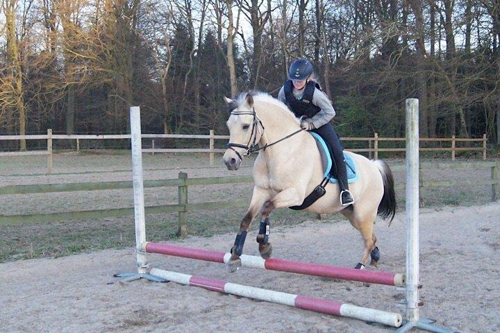 Anden særlig race Felix - En af de første gange vi springer(: billede 6