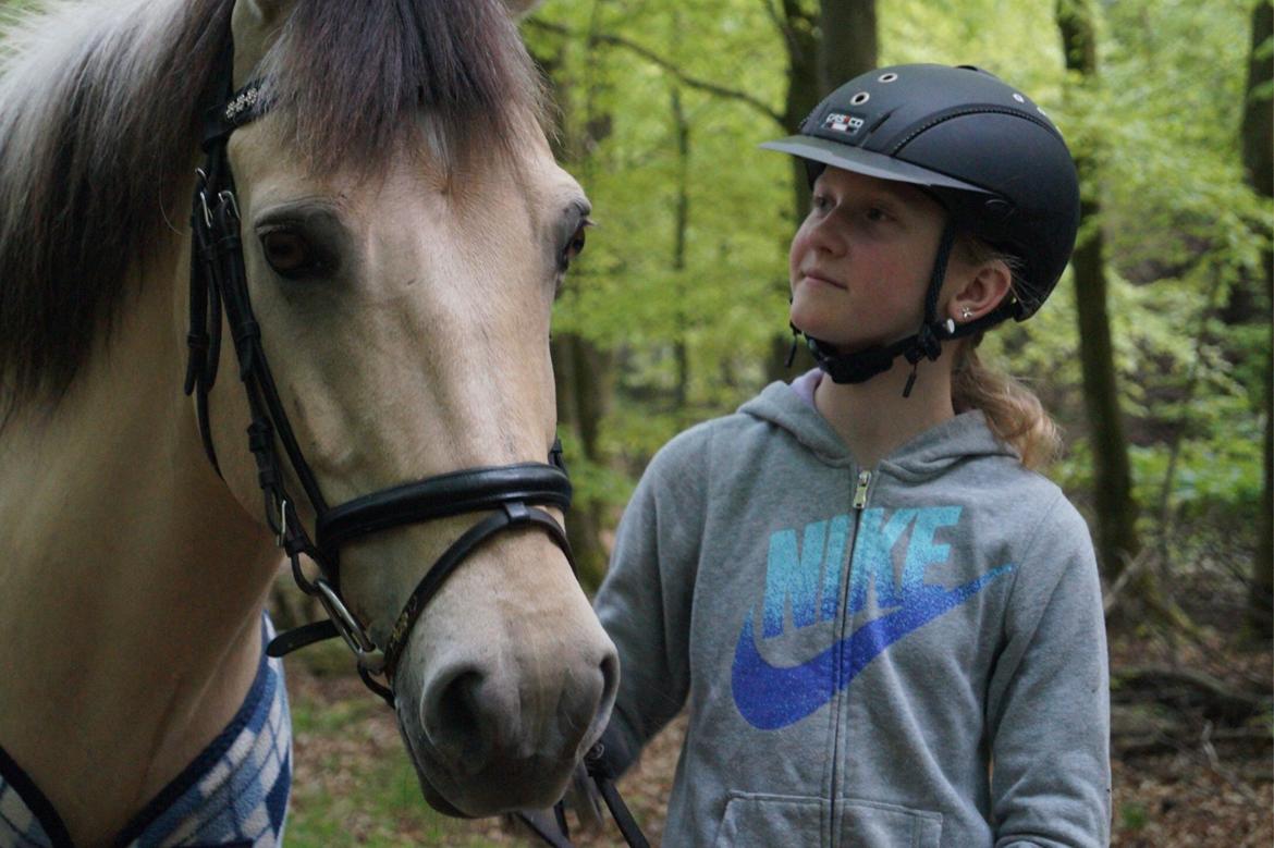 Anden særlig race Felix billede 9