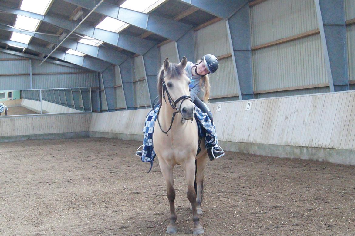 Anden særlig race Felix billede 13