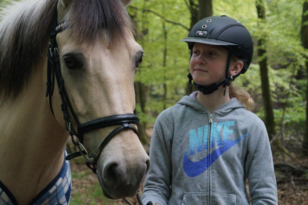 Anden særlig race Felix billede 7