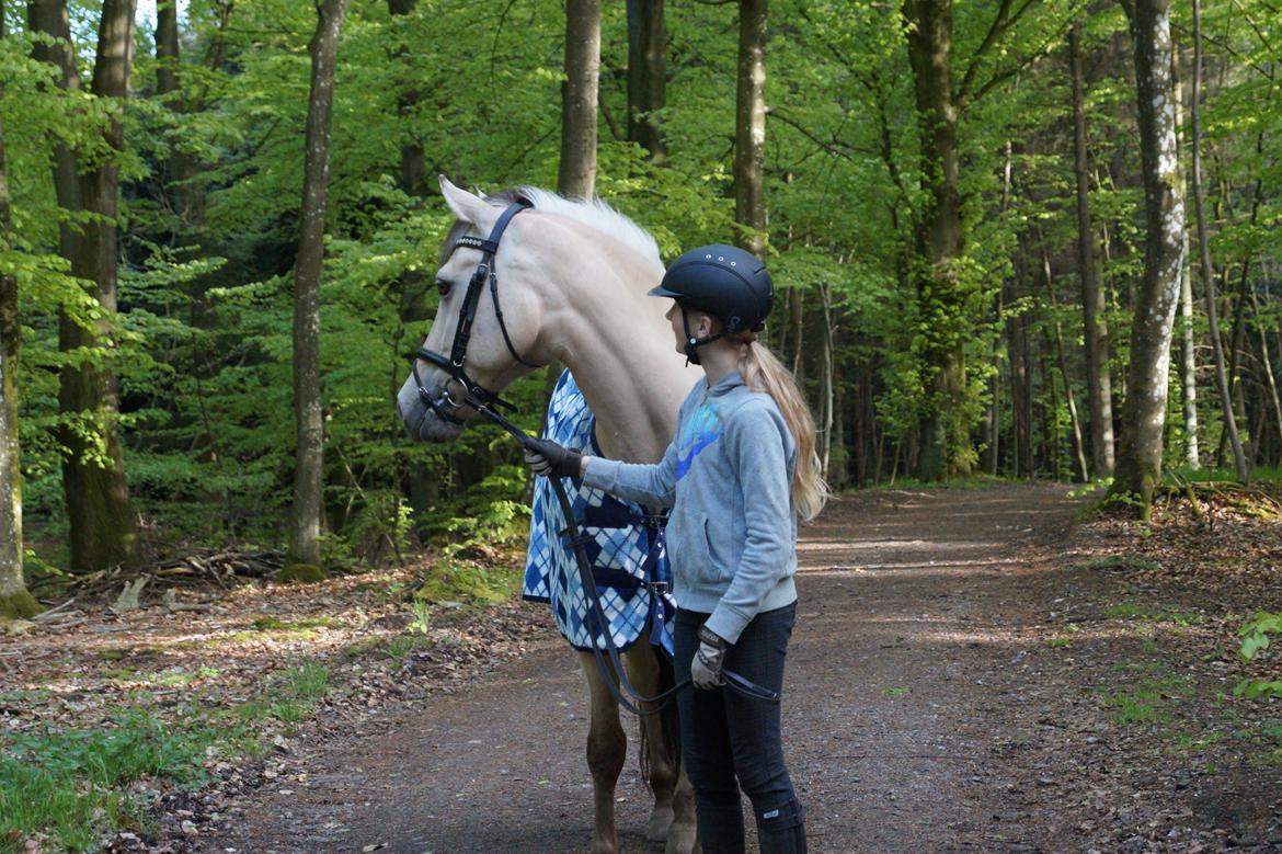 Anden særlig race Felix - Der var et egern! XD billede 10
