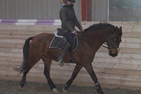 Connemara Disneys Fedtmule billede 1