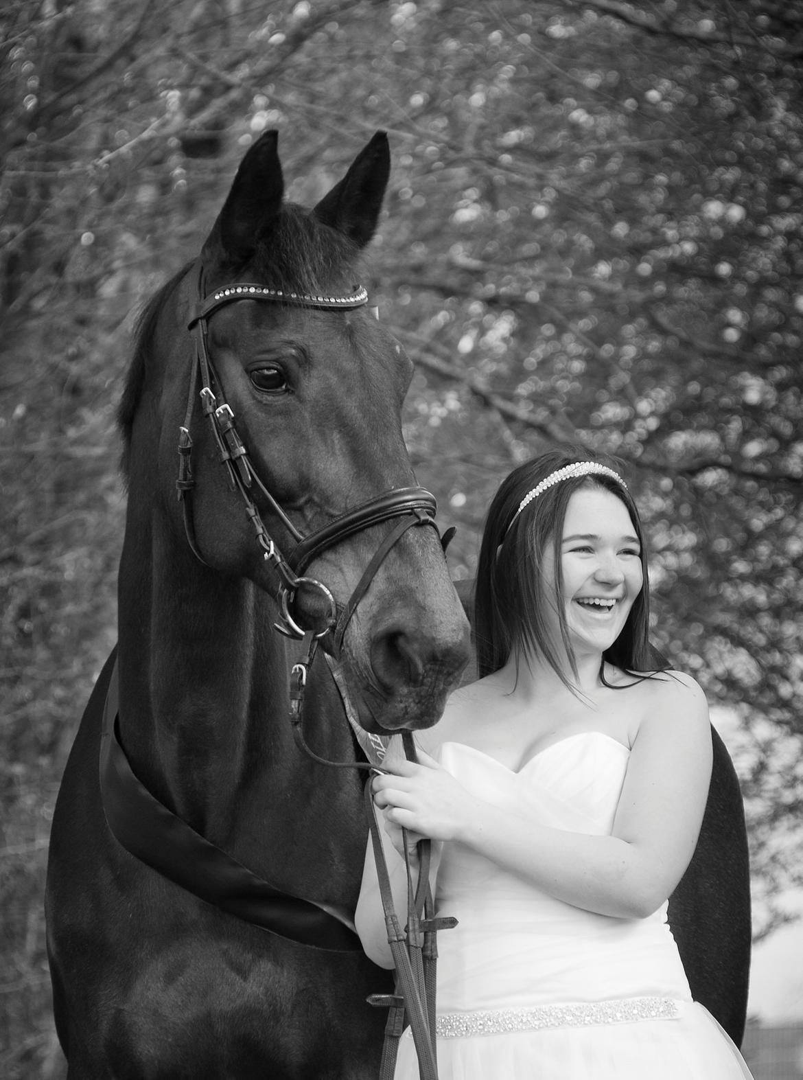 Traver Hability billede 1