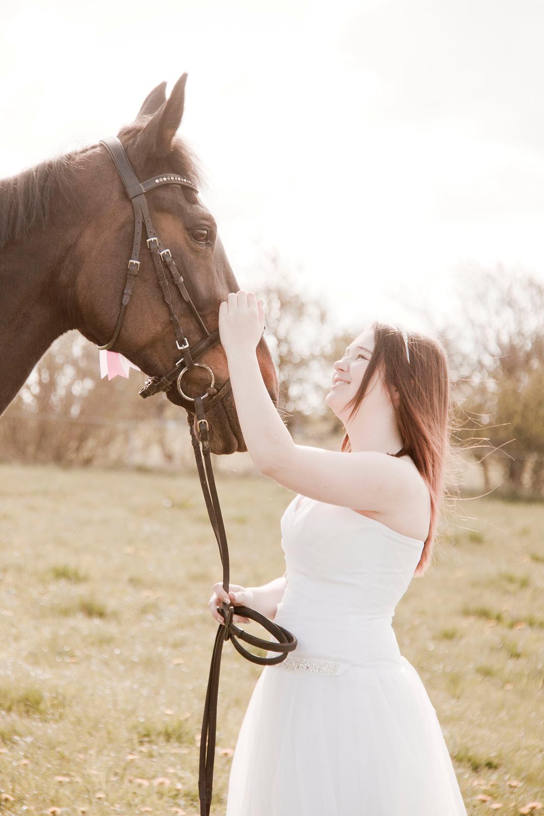 Traver Hability billede 2