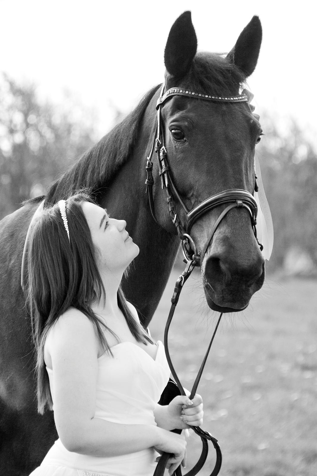 Traver Hability billede 3