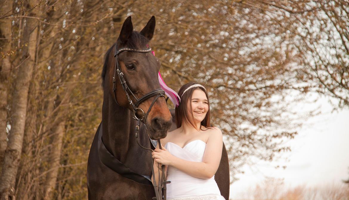 Traver Hability billede 5