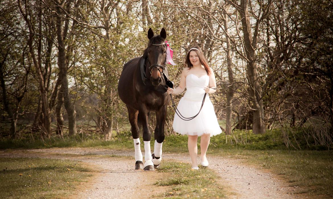 Traver Hability billede 6