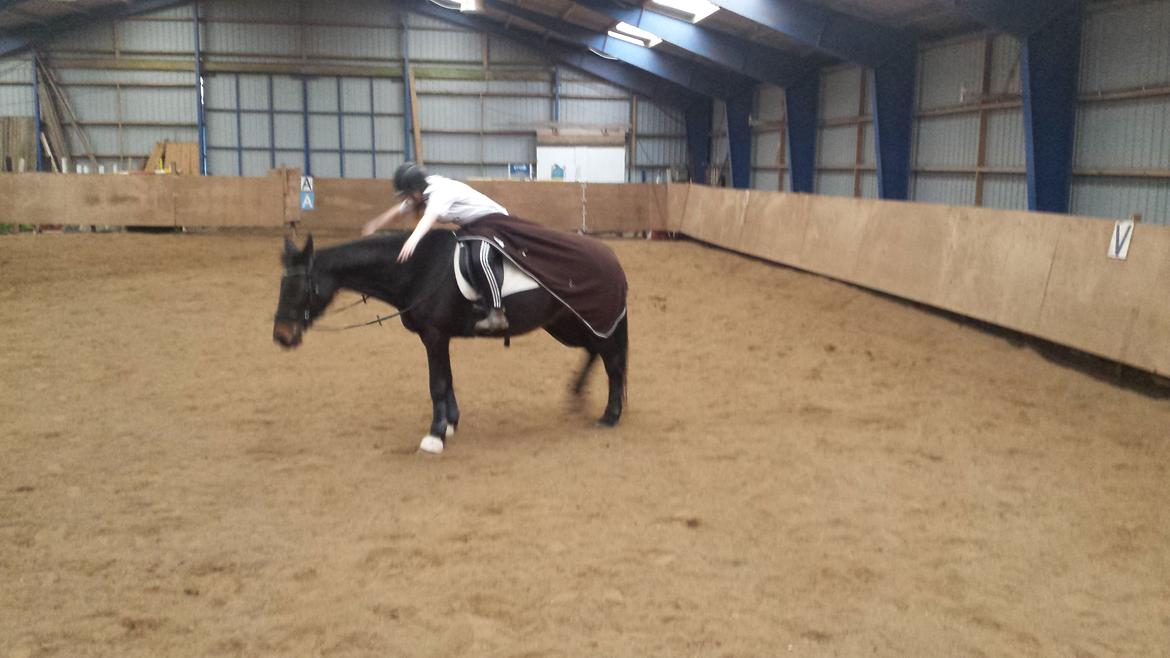 Traver Hability billede 9