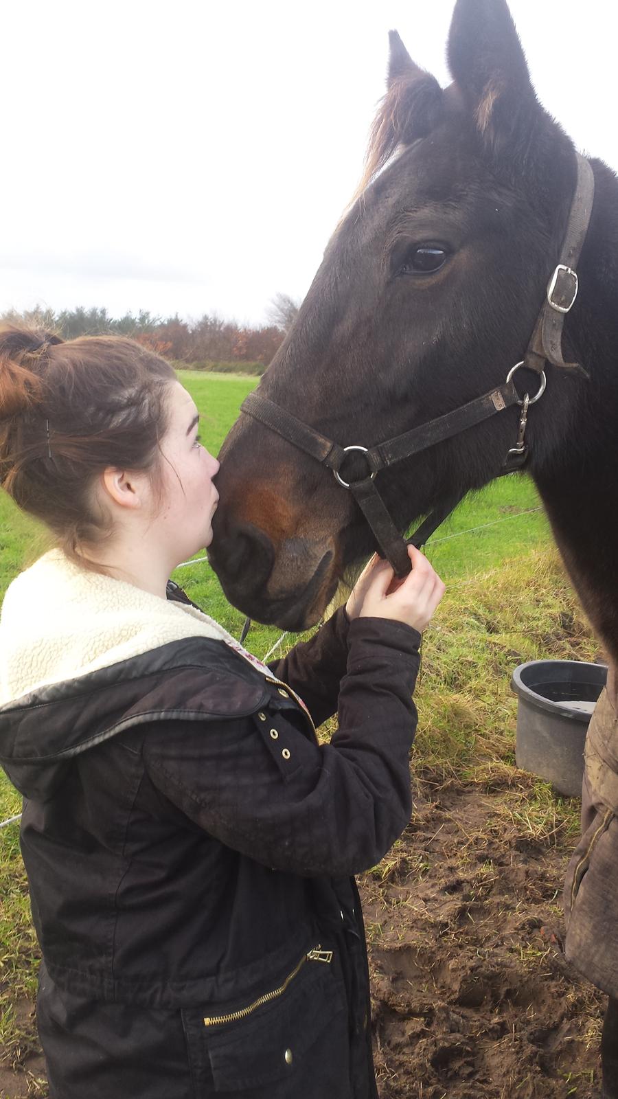 Traver Hability billede 12