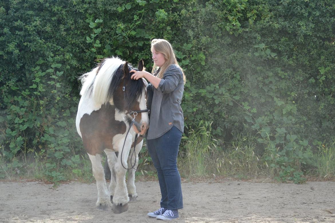 Tinker Mister Charlie - Et øjebliksbillede (Foto: Michelle Patricia Petersen) billede 48