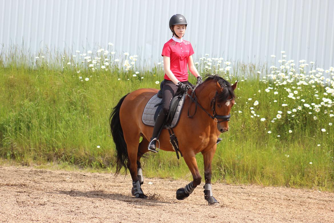 DSP Remontes Casanova billede 5