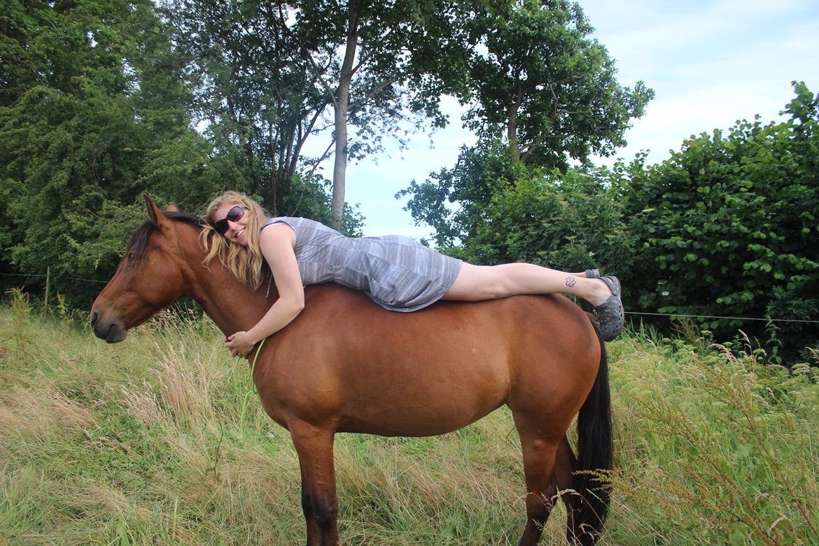 Anden særlig race Kit Kat (Stjerneponyen<3) billede 40