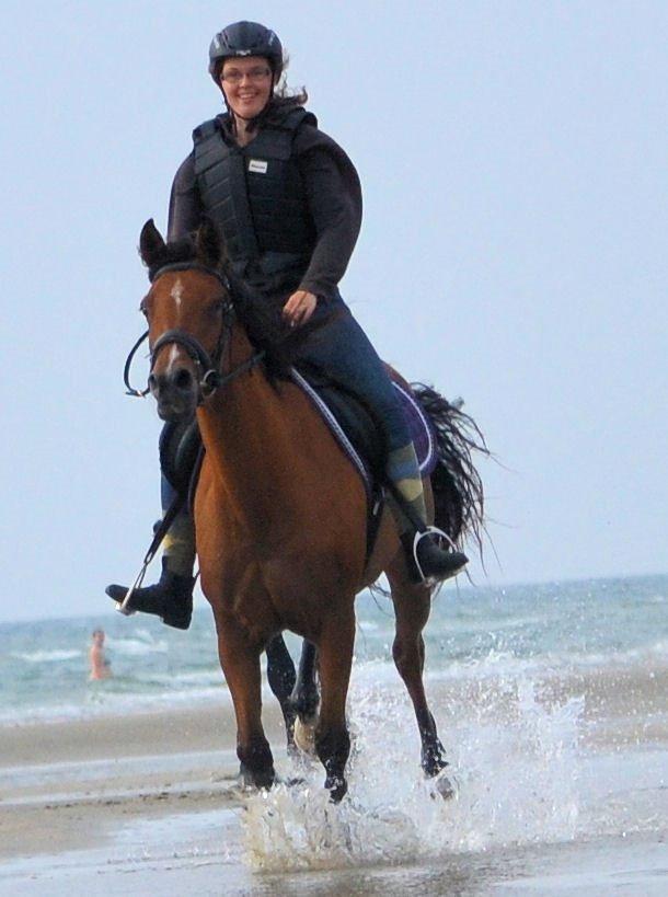 Arabisk fuldblod (OX) cherelda billede 28