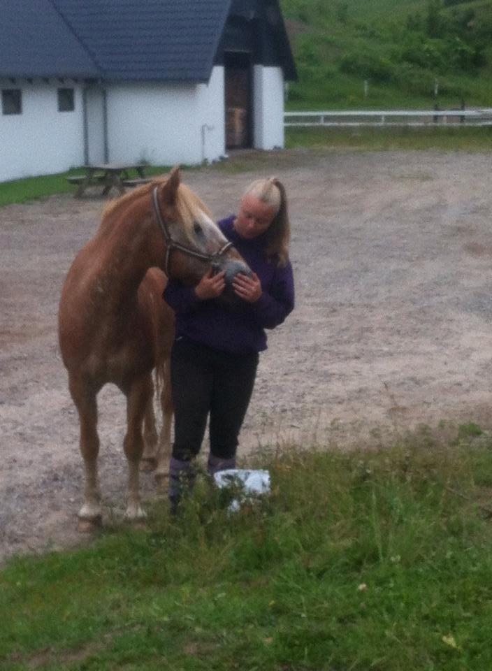 Anden særlig race just hugo forever billede 1