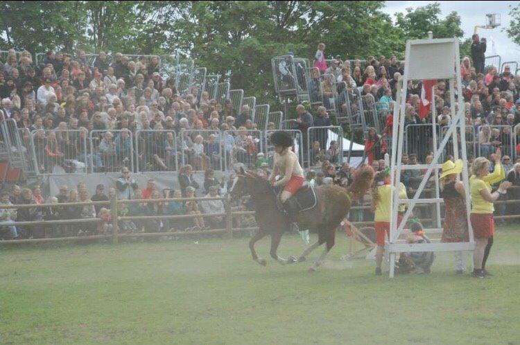 DSP Stenbakkegårds hoopers creek billede 17