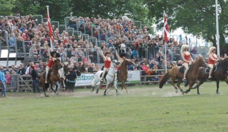 DSP Stenbakkegårds hoopers creek billede 15