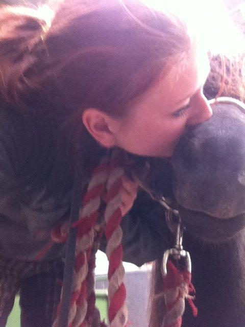 Shetlænder Nadi - I love you my soulmate billede 4