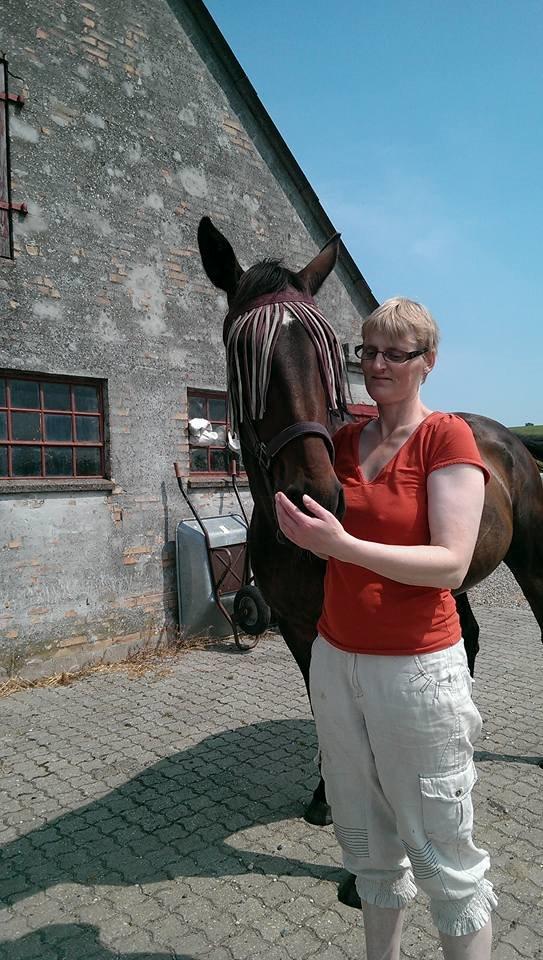 Traver Faraway billede 11