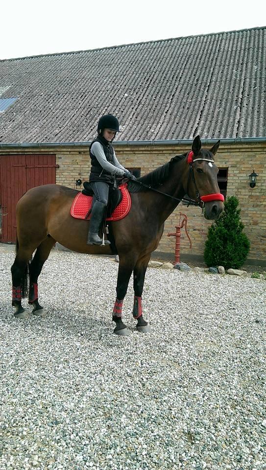 Traver Faraway billede 9