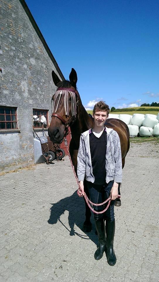 Traver Faraway billede 15