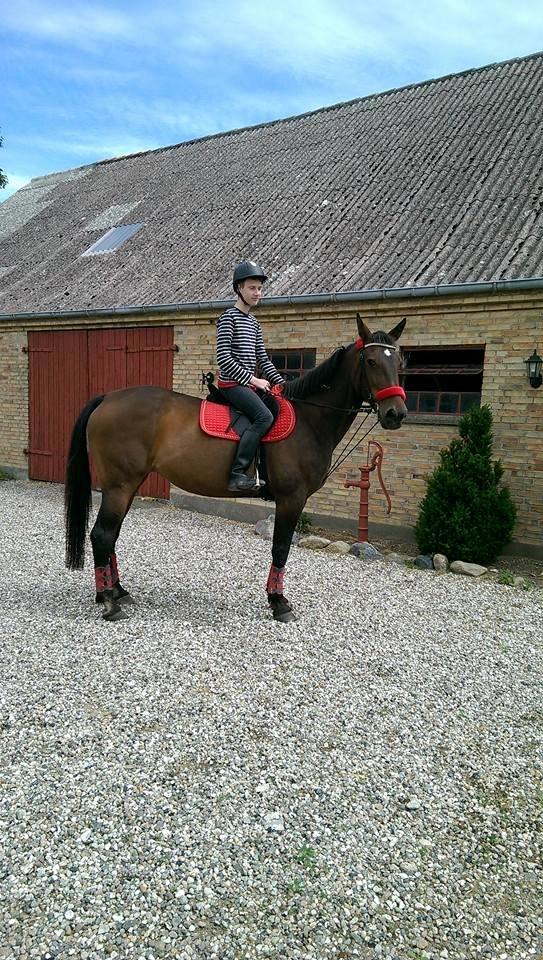 Traver Faraway billede 10