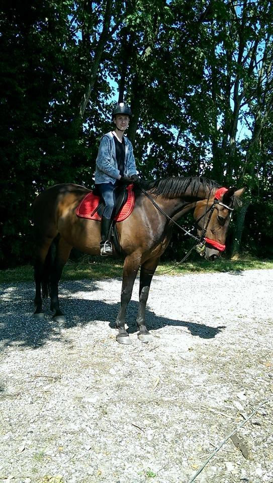 Traver Faraway billede 13