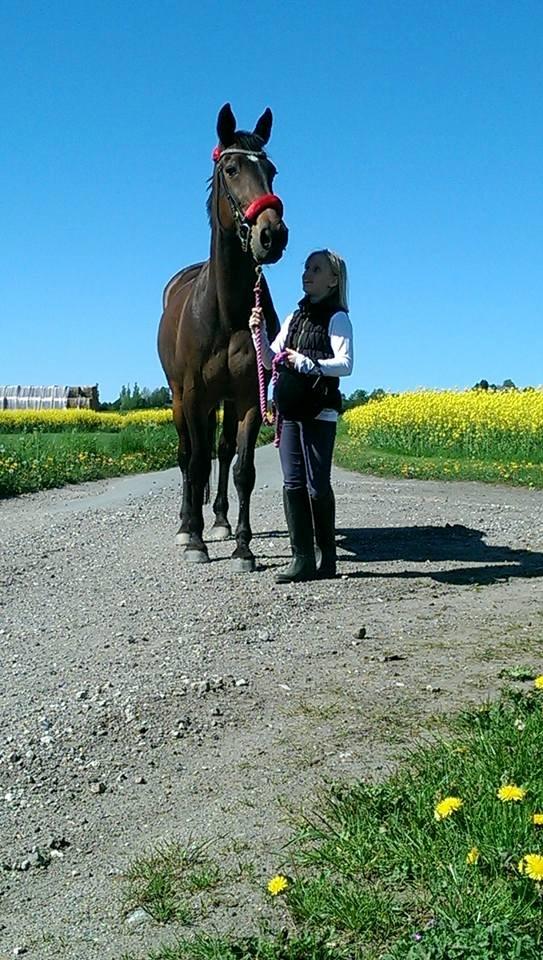 Traver Faraway billede 6