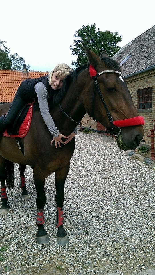 Traver Faraway billede 14