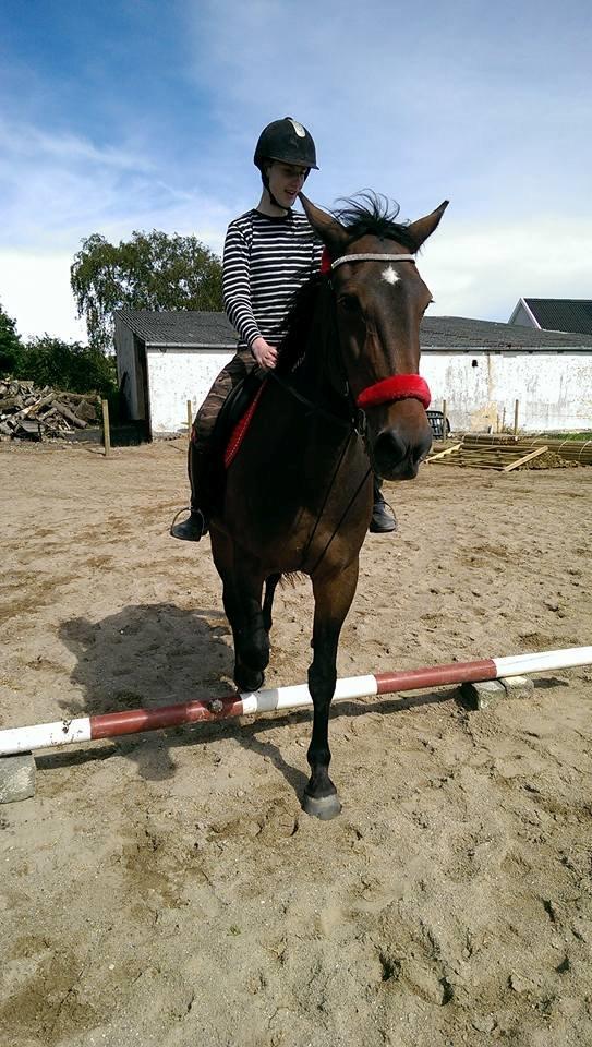 Traver Faraway billede 12