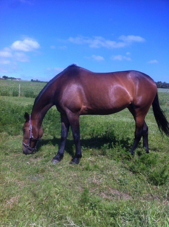 Traver Faraway billede 8