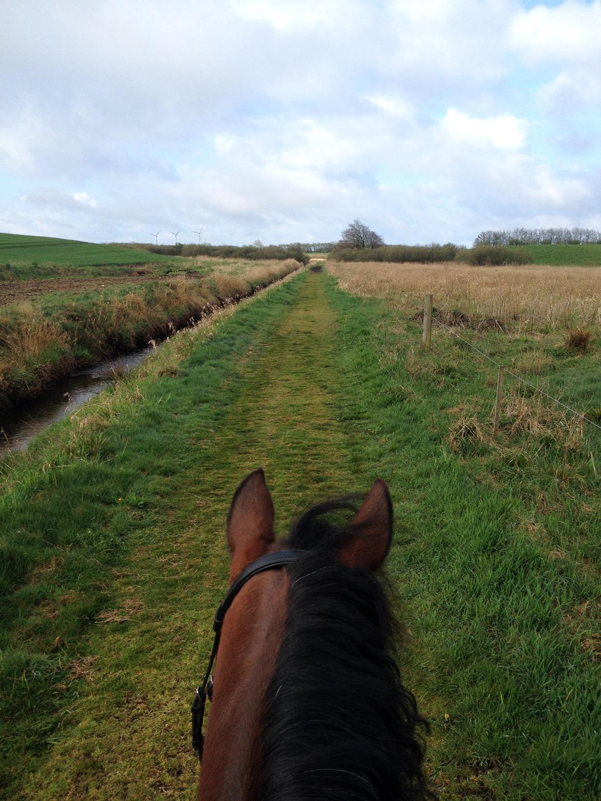 DSP Bæklunds Camikka billede 9