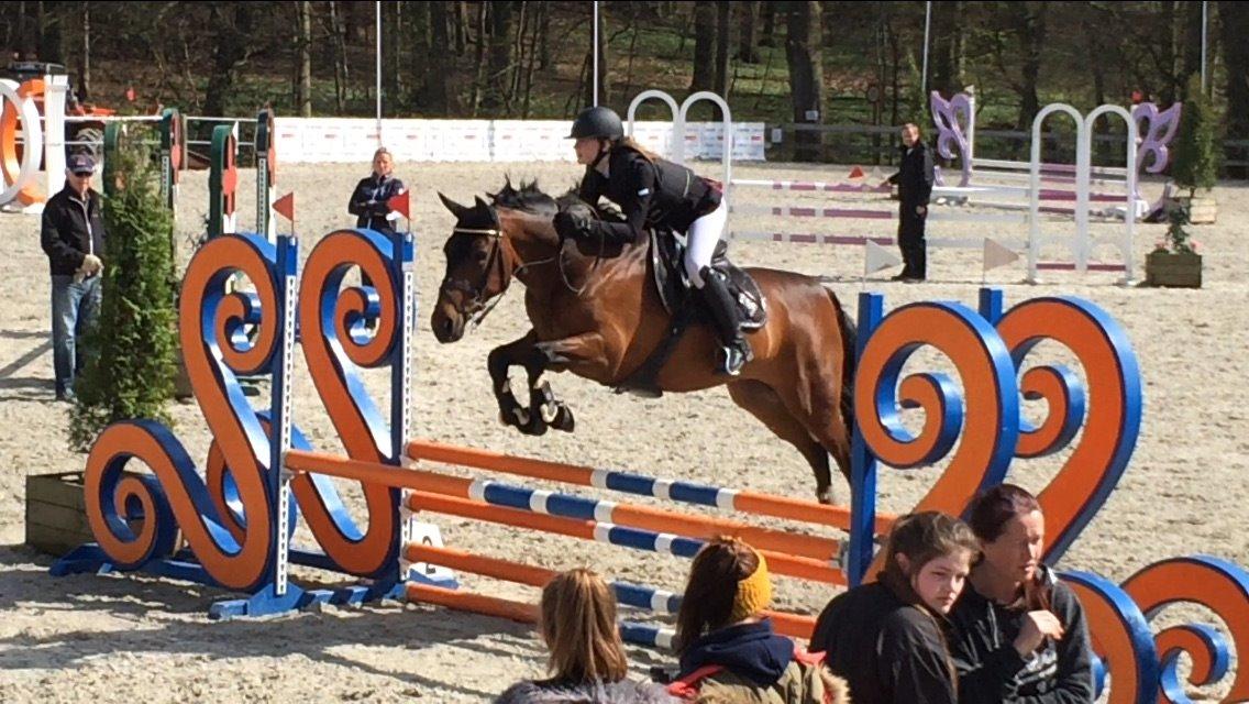 Lusitano Lipizzaner. Selbygårds Pillo Filippos - RidersCup - 80cm 0 fejl og bedste tid ud af 64 billede 9