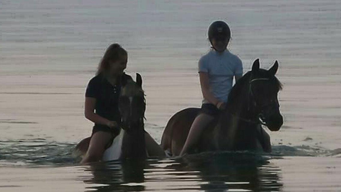 Lusitano Lipizzaner. Selbygårds Pillo Filippos - D4HS - på stranden med Trine og Misty<3 billede 17