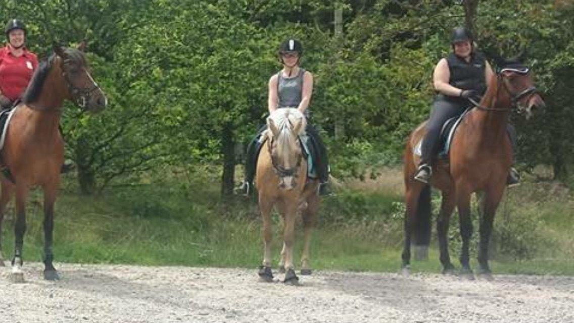 Anden særlig race Fenja billede 25