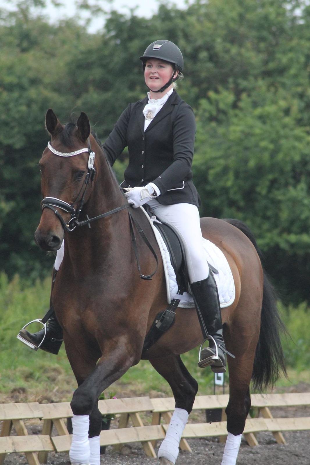 Dansk Varmblod Engvang's Cadeau billede 9