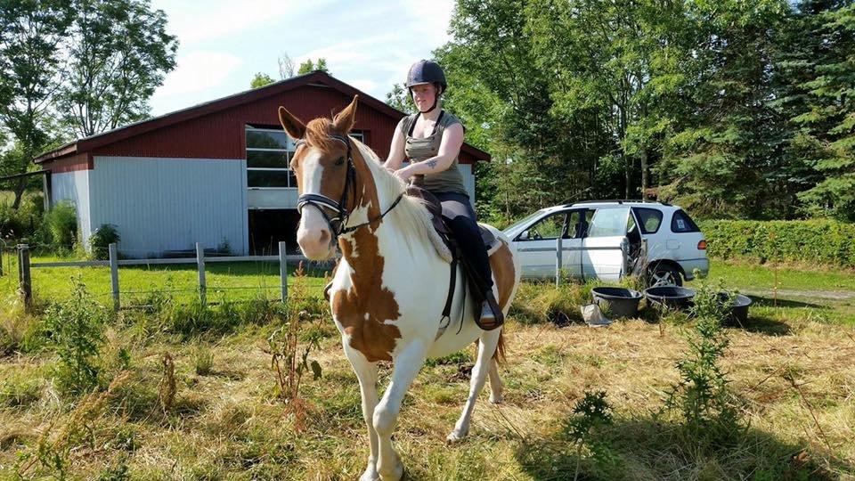 Anden særlig race Ramon (Monse) billede 2