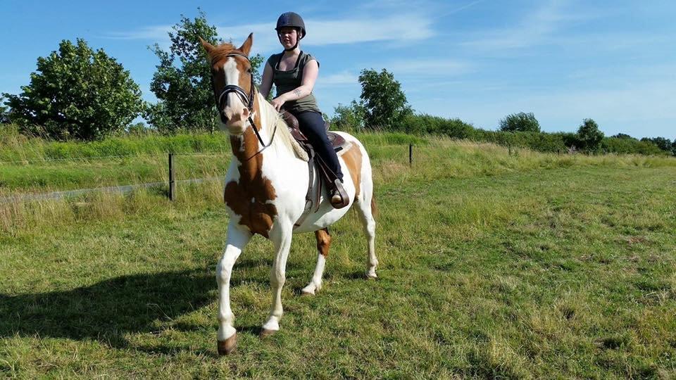 Anden særlig race Ramon (Monse) billede 1