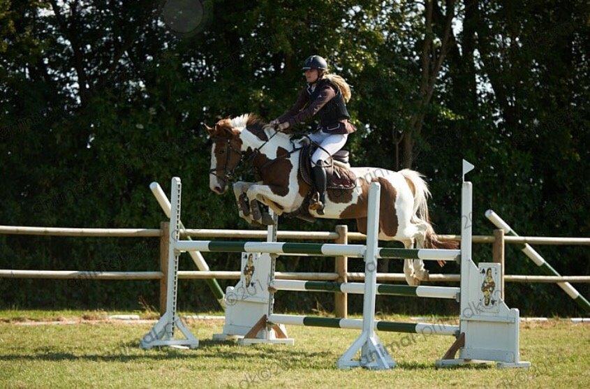 Hollandsk Sportspony Monique (For sale) billede 21