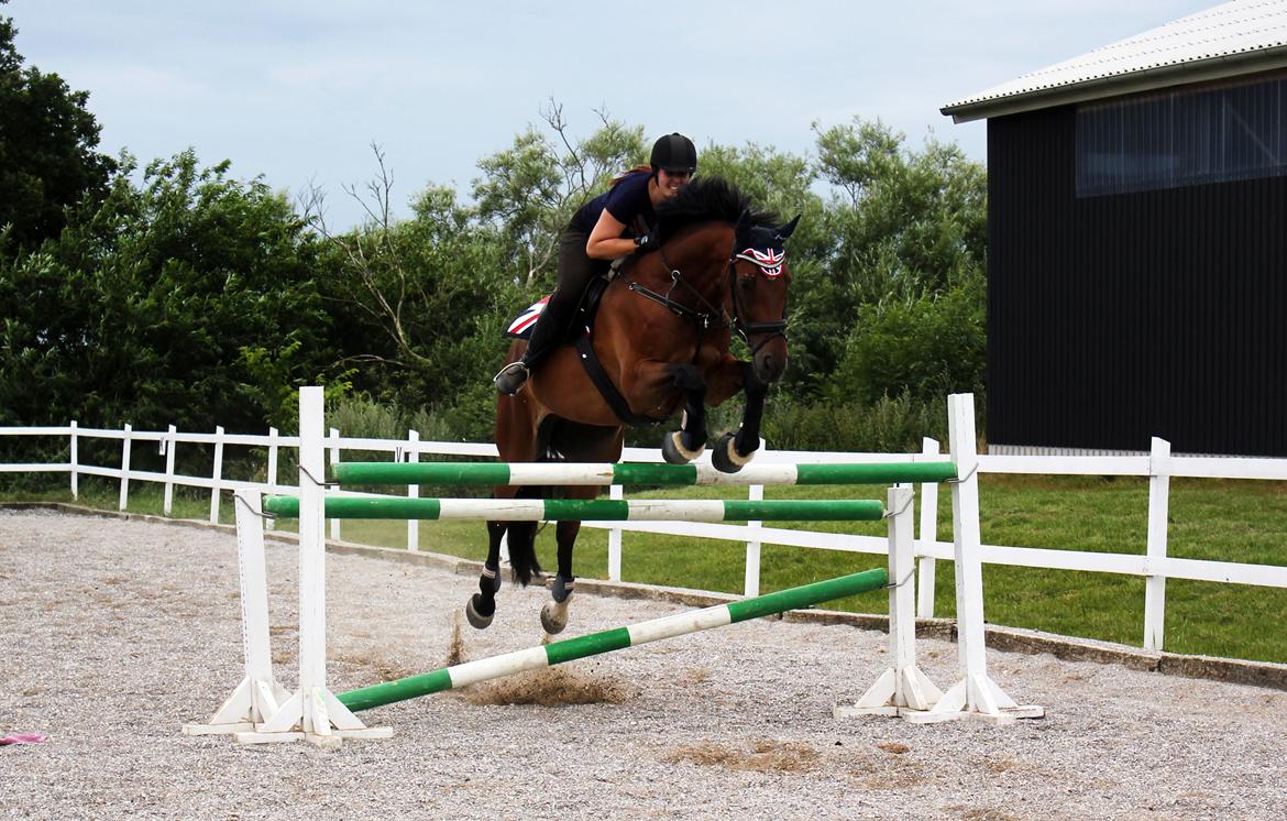 Anden særlig race Dalvangs Casper - Casper og mig over 120 :) billede 46