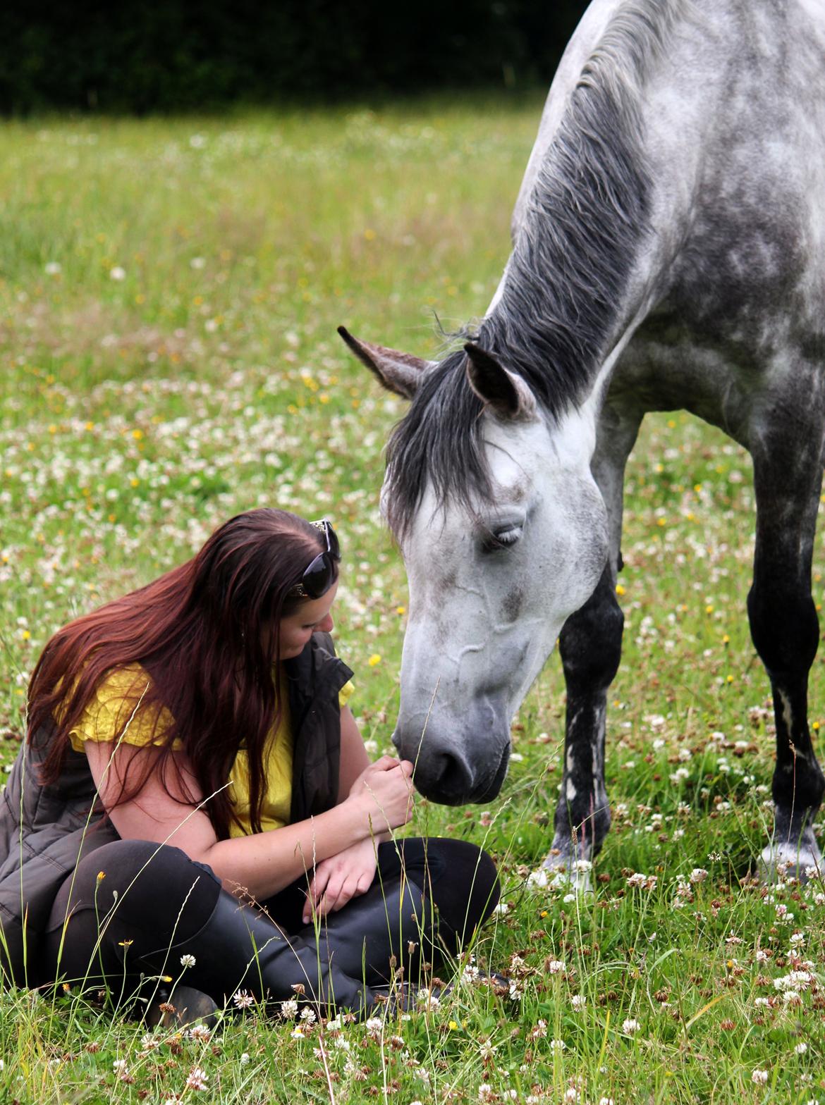 Dansk Varmblod Lambrié Vejen (Avlshoppe) - NYT: Osten og jeg hygger :) billede 25