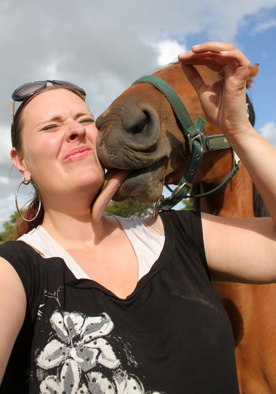 Dansk Varmblod Angel of music (SOLGT) *For evigt elsket <3* - NYT: Ha ha tak Angel :D billede 13